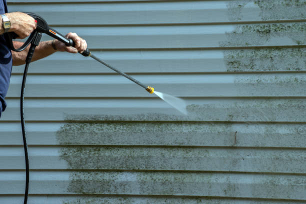 Best Gutter Cleaning  in Versailles, OH